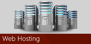 Web Hosting